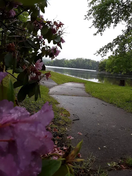 Cheoah Point Campground 10