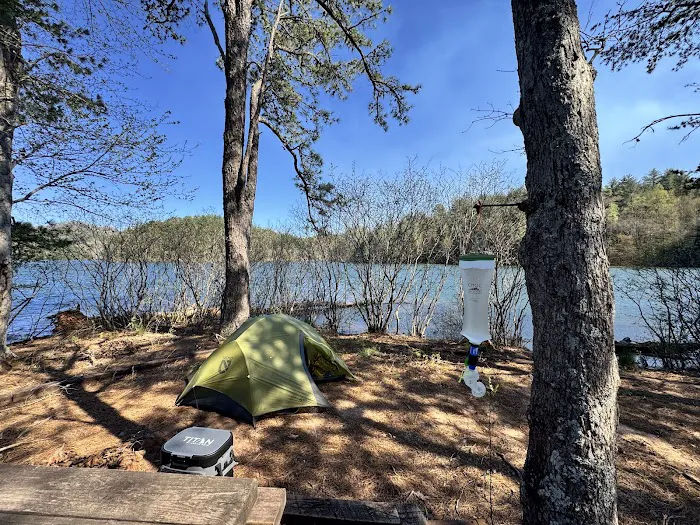 Forest Service Campsite P5 2