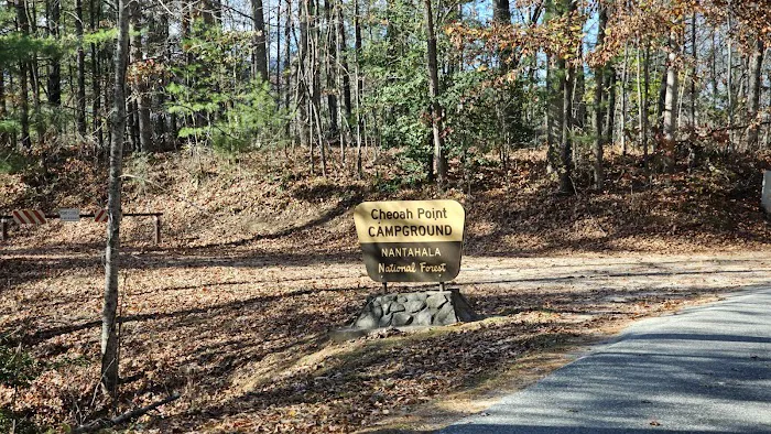 Forest Service Campsite P5 7
