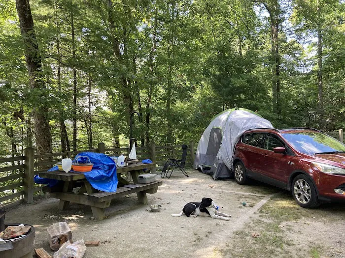 Forest Service Campsite P5 8