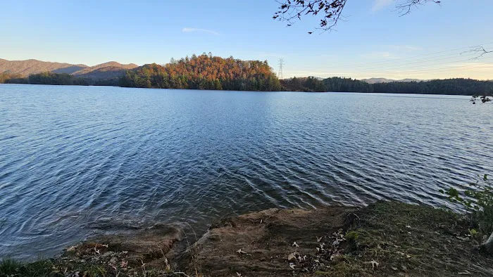 Forest Service Campsite P5 11