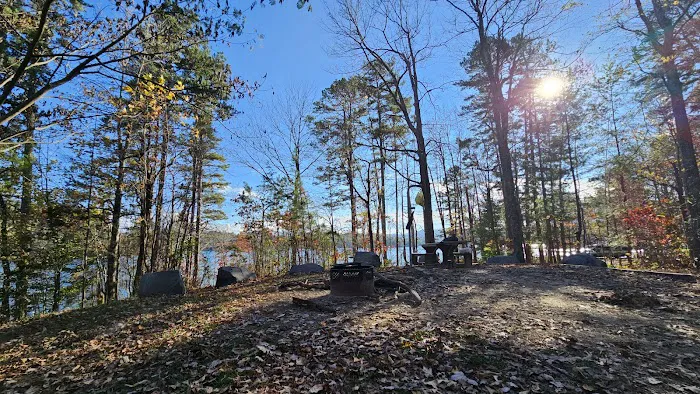 Forest Service Campsite P5 14