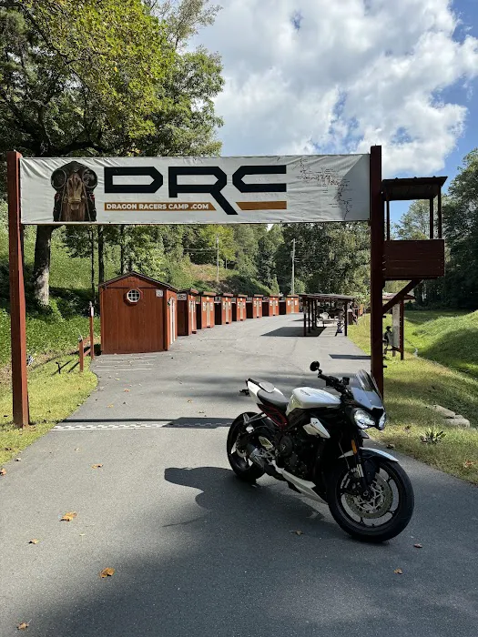 Davidson River Campground 8