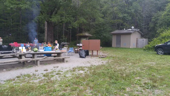Davidson River Campground 9