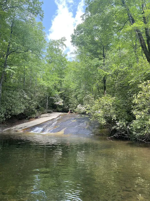Davidson River Campground 11