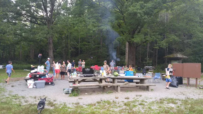 Davidson River Campground 12