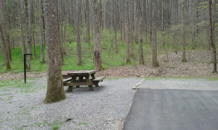 Davidson River Campground 16