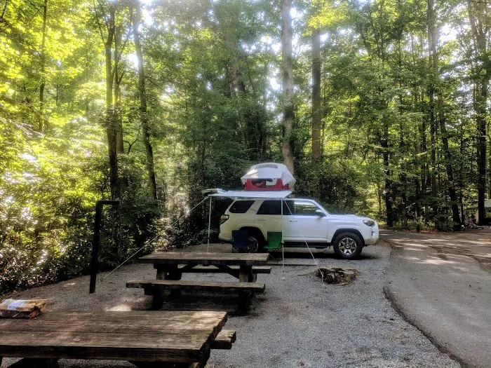Davidson River Campground 19