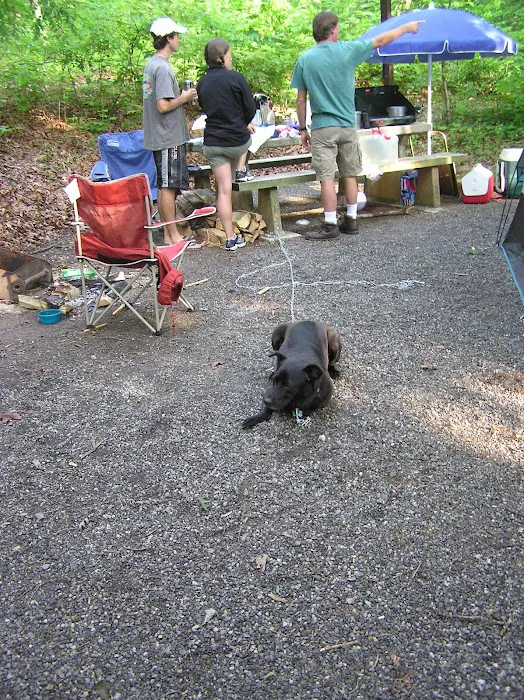 Valley Bear Farms 6