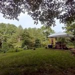 Camp Uptown Backwoods