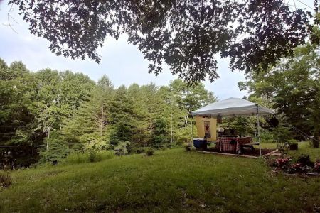 Camp Uptown Backwoods