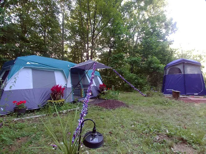 Camp Uptown Backwoods 2
