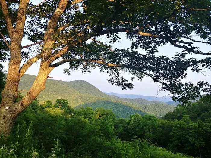 Camp Uptown Backwoods 9