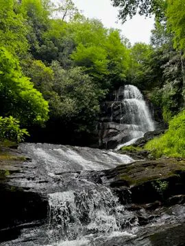 Camp Uptown Backwoods 8