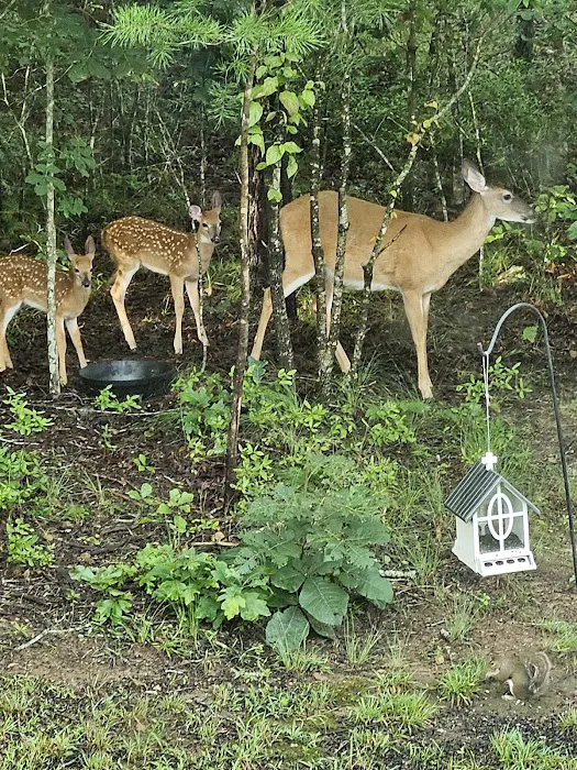 Turkey Trail RV Park 3