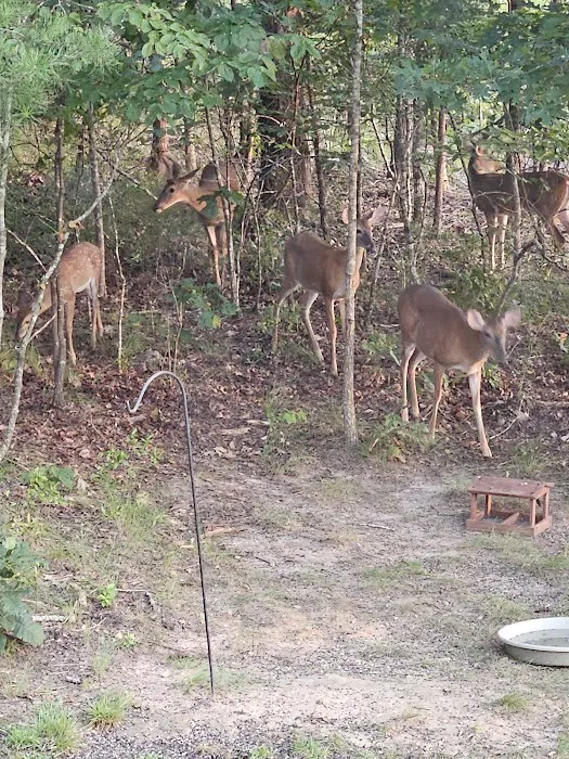 Turkey Trail RV Park 4