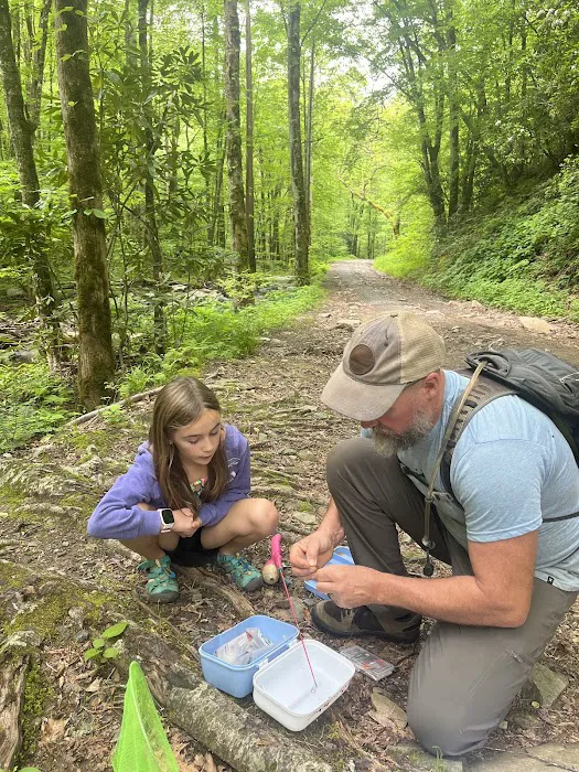 Canopy Cove Campground 5