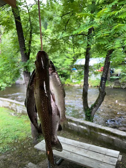 Smoky Mountain Campground 3