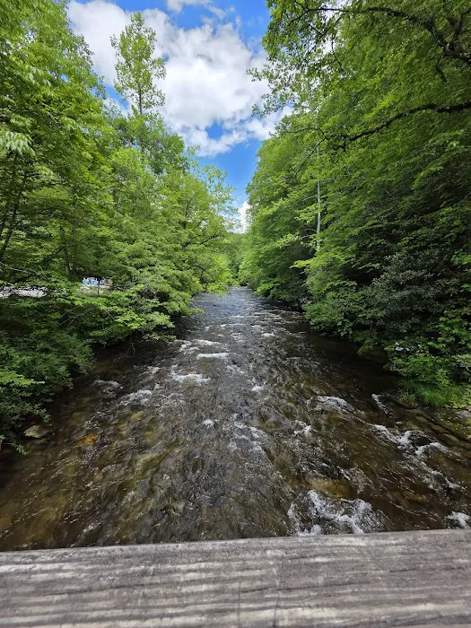 Smoky Mountain Campground 10