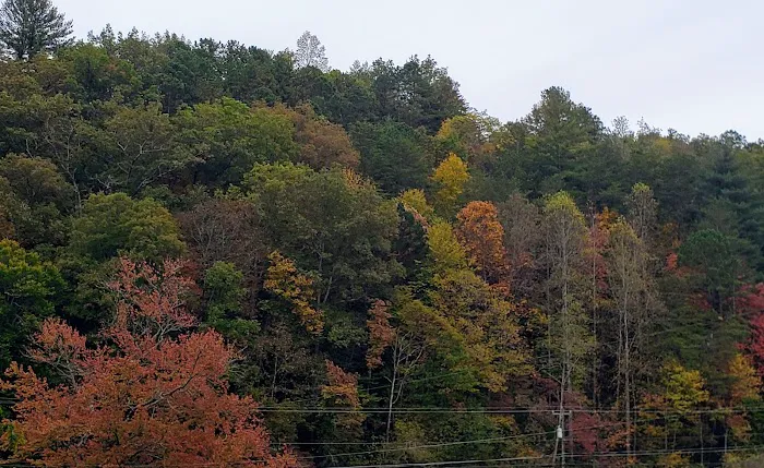 Swain County 1