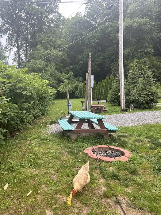 Conleys Creek Campground RV Sites 1