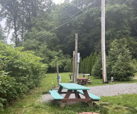 Conleys Creek Campground RV Sites