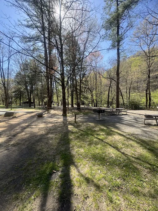 Deep Creek Campground 4
