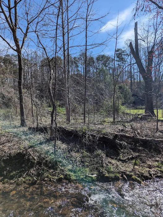 Cooper Creek Campground 3