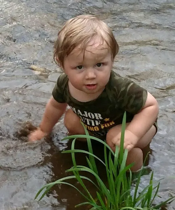 Cooper Creek Campground 9