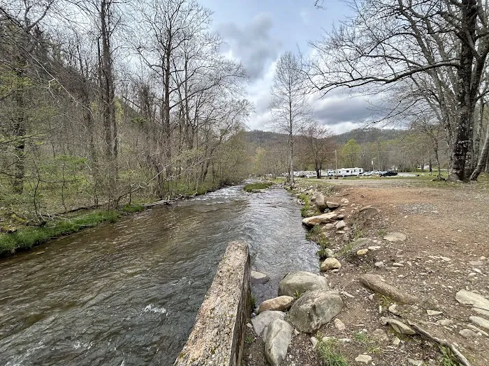 Trout Creek Campground 1