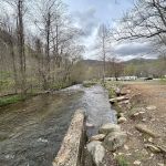 Trout Creek Campground