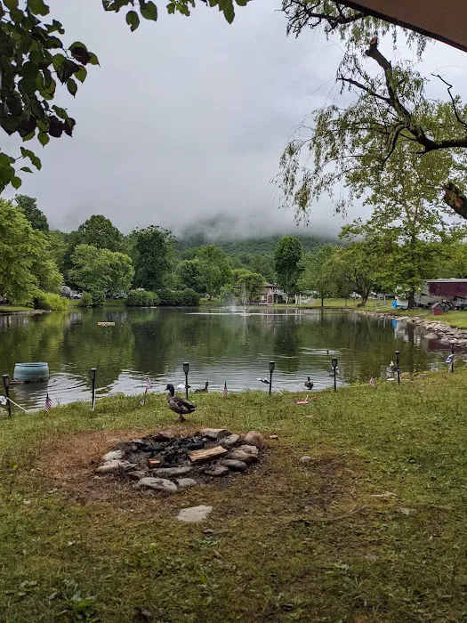 Trout Creek Campground 6