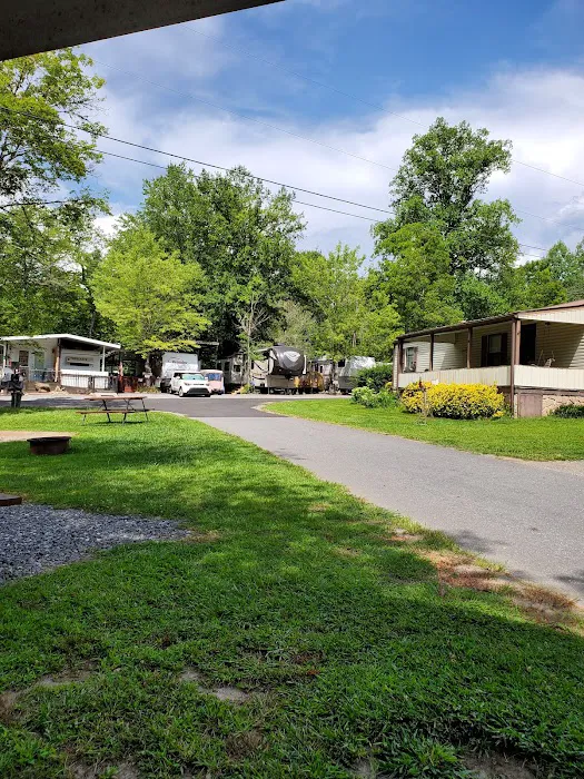 Trout Creek Campground 9