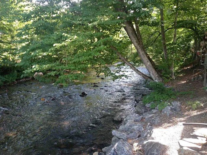 Trout Creek Campground 12