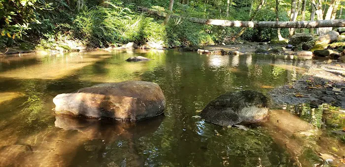 Trout Creek Campground 17