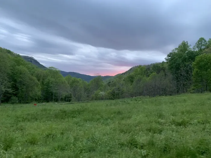 Trout Creek Campground 20