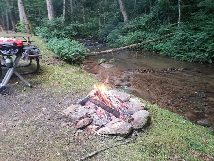 Trout Creek Campground 22