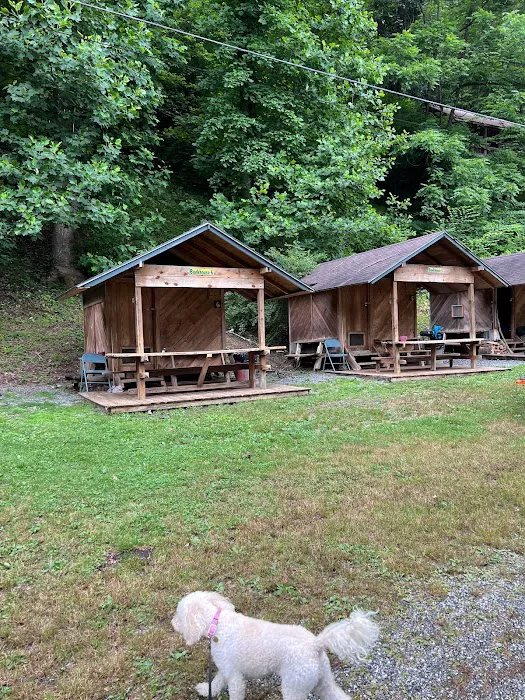 Wolf Campground 2