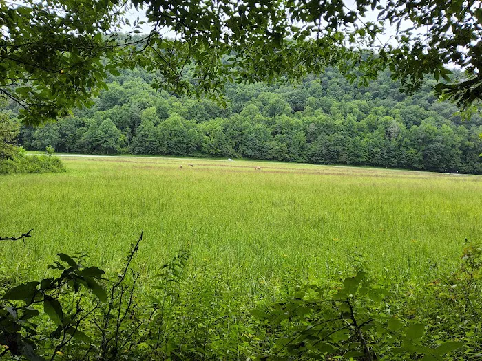 Mile High Campground Tent Site 2