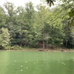 Backcountry Campsite #66