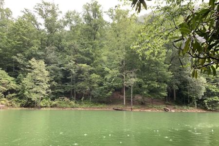 Backcountry Campsite #66