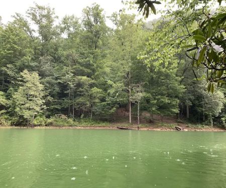 Backcountry Campsite #66