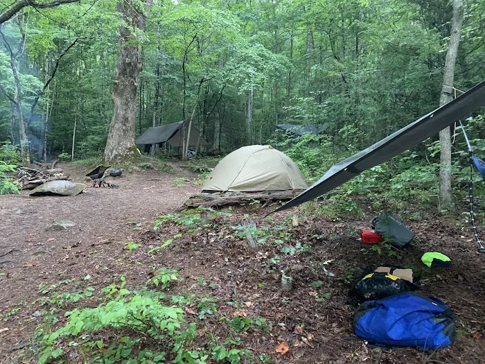 Backcountry Campsite #66 7
