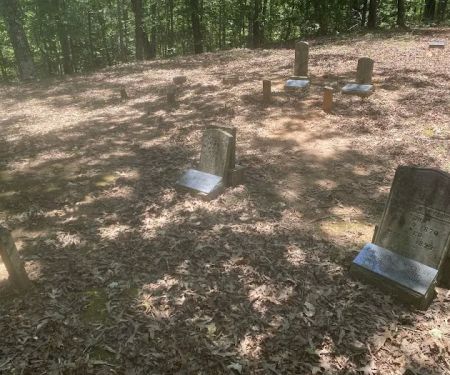 Backcountry Campsite #98