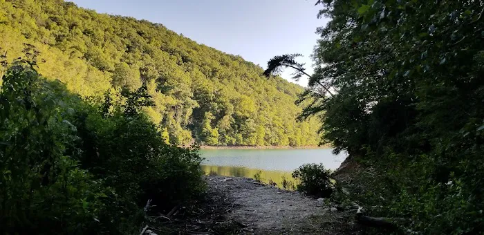 Backcountry Campsite #98 4