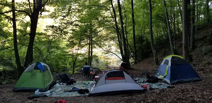 Backcountry Campsite #98 7