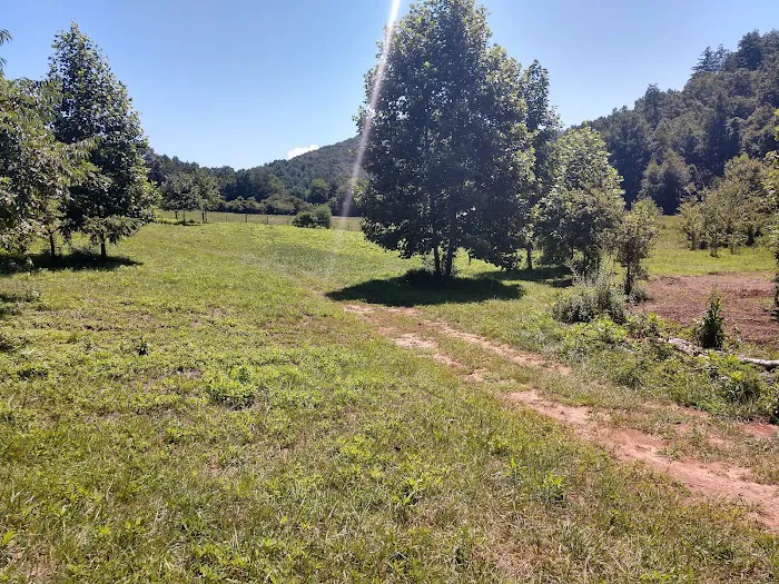 Moonshine Run Campground 1