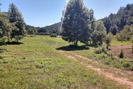 Moonshine Run Campground