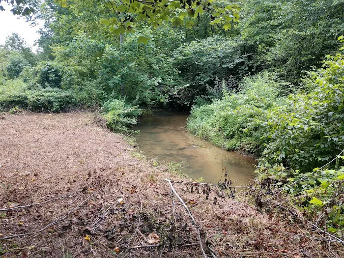 Moonshine Run Campground 2