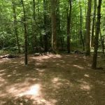 Backcountry Camp 77, Pilkey Creek
